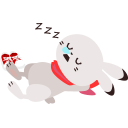 寝ているうさぎ